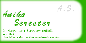 aniko serester business card